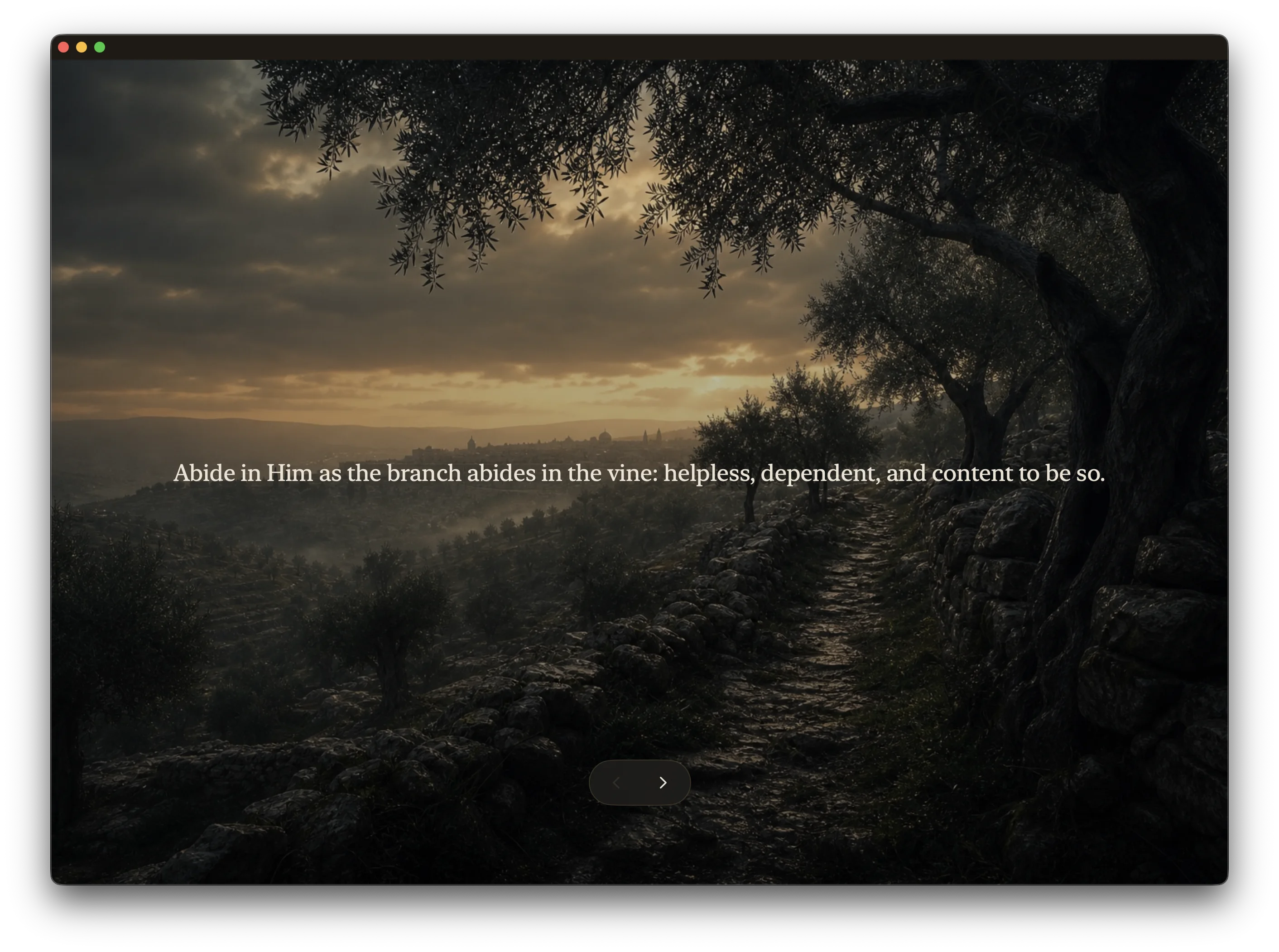 Maranatha full-screen meditation view with a prayerful quote over an olive path